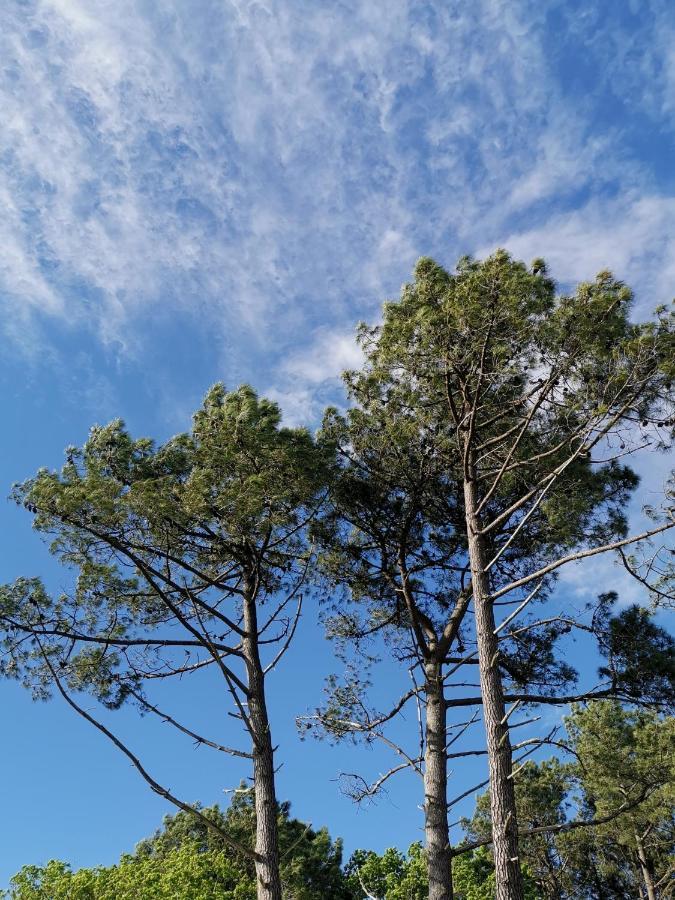 O Lac Lacanau Zewnętrze zdjęcie