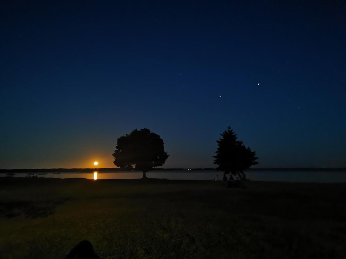 Bed and Breakfast O Lac Lacanau Zewnętrze zdjęcie